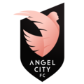 club logo